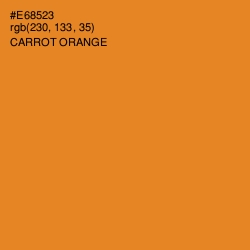 #E68523 - Carrot Orange Color Image